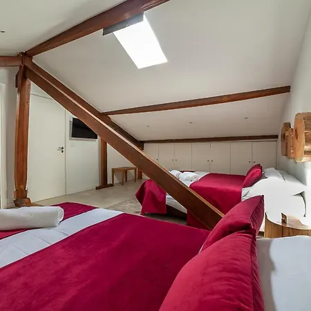 Up Tree Nature Rooms Aveiro Exterior photo