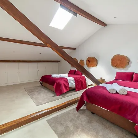 Up Tree Nature Rooms Aveiro Exterior photo