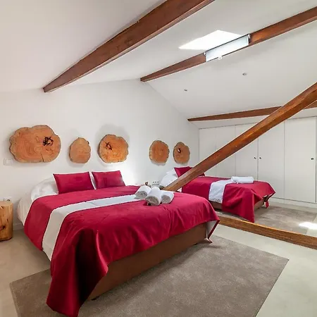 Up Tree Nature Rooms Aveiro Exterior photo