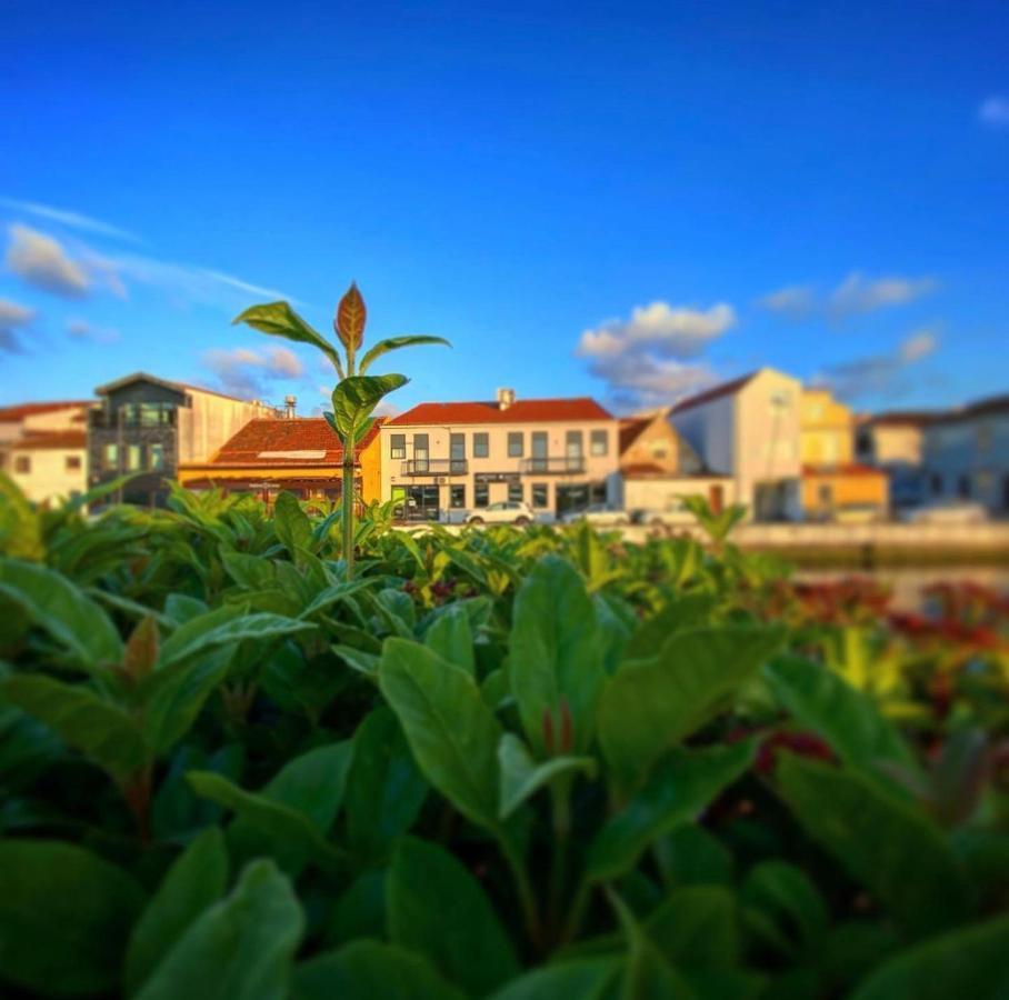 Up Tree Nature Homestay Aveiro